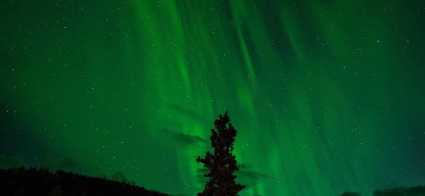 Unauth title YVxoqRNT